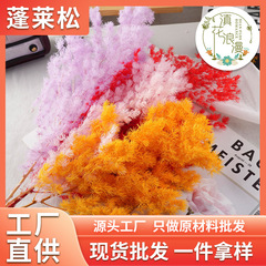 雲南省永生蓬莱松完成品乾花束diy材料結婚式家庭年越し装飾瓶生け花工場ロット