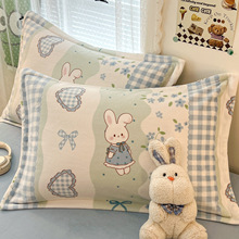 可爱卡通牛奶绒枕套一对装冬季保暖珊瑚绒枕头套48x74单人枕芯套