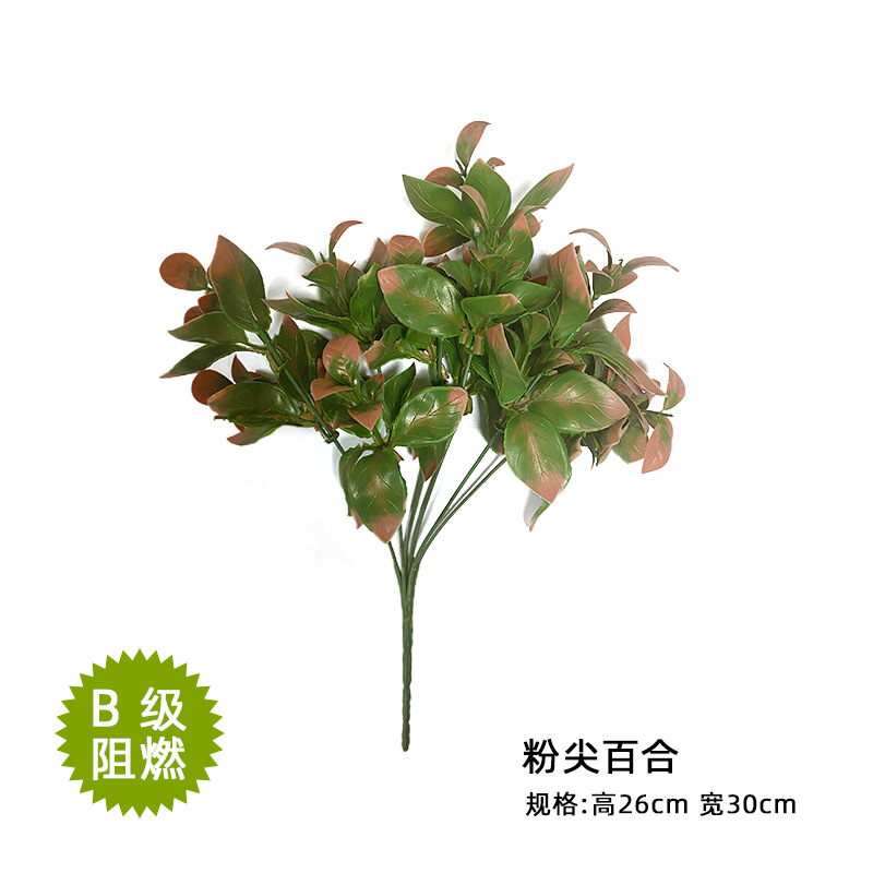 Pink tip lily 26*30cm