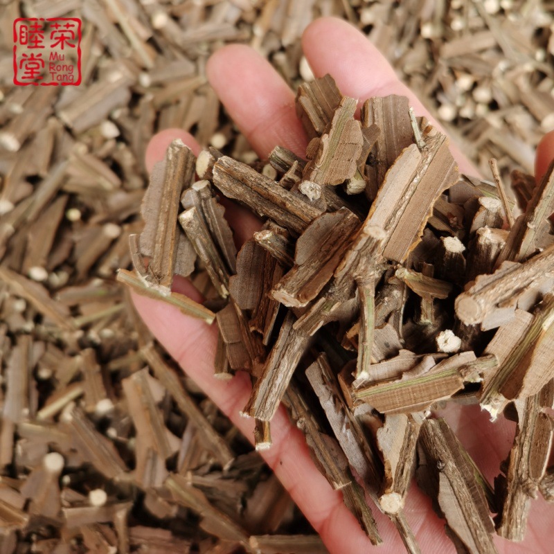 鬼剑羽现货批发包邮鬼箭羽带杆子卫矛六月凌产地货源足鬼箭羽粉