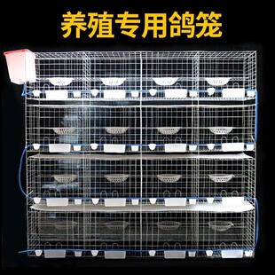 �Ӵּ����䌦ȫ������12λ16�\�\�Ӵ�̖���ӻ\�Bֳ�\�M�bľ�|��