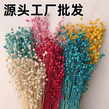 ��������˼�����F����������鶹DIY��޹���Ĳ������l