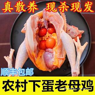 �r��ɢ�B�S����ĸ�u���u�F��������������ֻ���l
