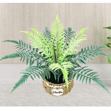 �Gֲ12-18�^�Pβާ�ֲ�����Լٻ�������ˇ������l��c����Gֲ