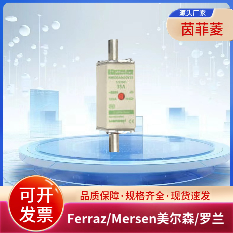NH00UD69V80PV Z320159 NH00UD69V100PV D320163美尔森罗兰熔断器