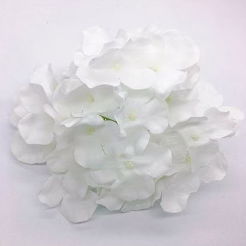 순수한 흰색