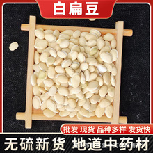 ��ș�����l �ױⶹ�F؛���� șʳͬԴ�ϱⶹ