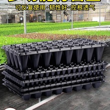 育苗盘穴盘塑料杯种植育苗盆西瓜玉米扦插发芽豆芽多功能家用