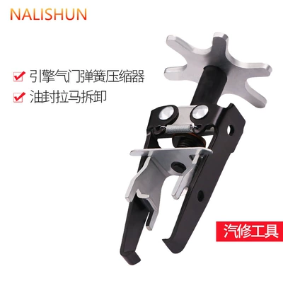 Repair kit valve spring pliers pressure