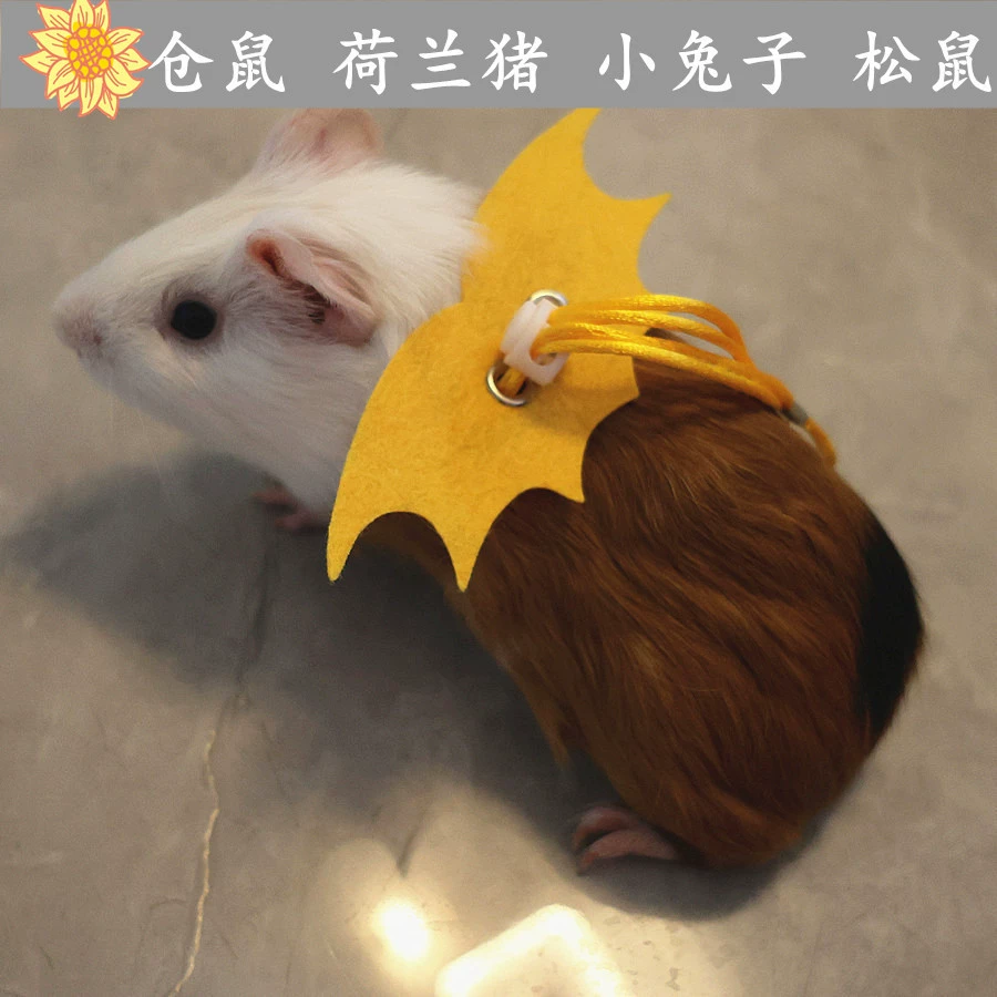 Тяговая веревка для хомяка белка Тяговая веревка Золотой медведь медовая сумка нагрудный ремень голландская свинья Тяговая веревка маленькое домашнее животное Грудь назад