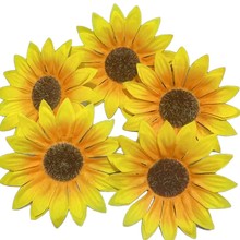 �z�W���������տ����~�ֹ�diy�z�����ߙn�zӡ���տ����~̫ꖻ��~