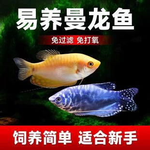 �@�S�����~���������ؔ�����~��������~�^�p�~���ô������~