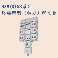 �X�Ͻ���������BXM(D) ���������Դ�䶨/���Ļ�·BXMD53