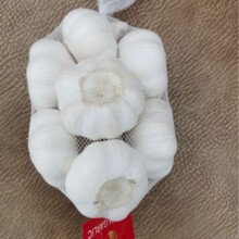 ���l2025�����ϰ�Ƥ����5.0����1������^���l����a���ԷN