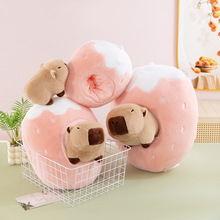 羳¿ˮݮCˮëq߄⹫жYlץCQ