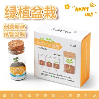 创意迷你盆栽学生小礼品DIY可爱生态瓶绿植盆栽桌面水培绿植批发