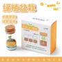 迷你学生桌面水培绿植