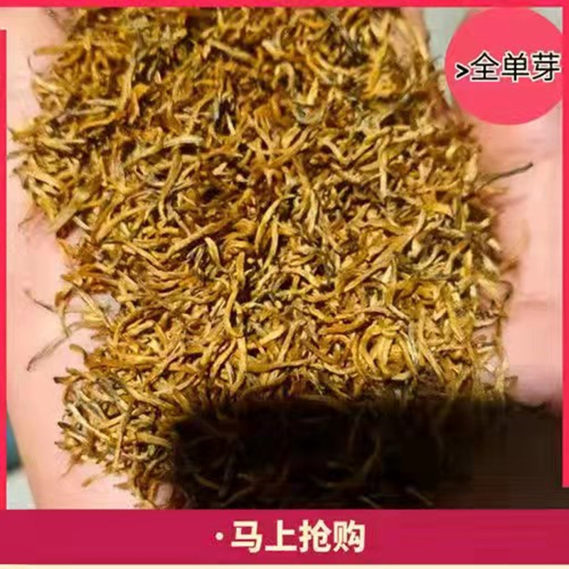 微信图片_20220328221836_副本