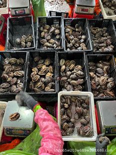 �U�~ �����^�S�ҡ� ���r�U�~  ��߅ֱ�l  �U�~�� ���U�~