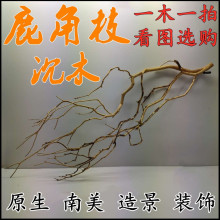 ֦�ɘ��~���쾰�廨�����S���ľ���N������¹��Ī˹�ز�ԭ����ɫ