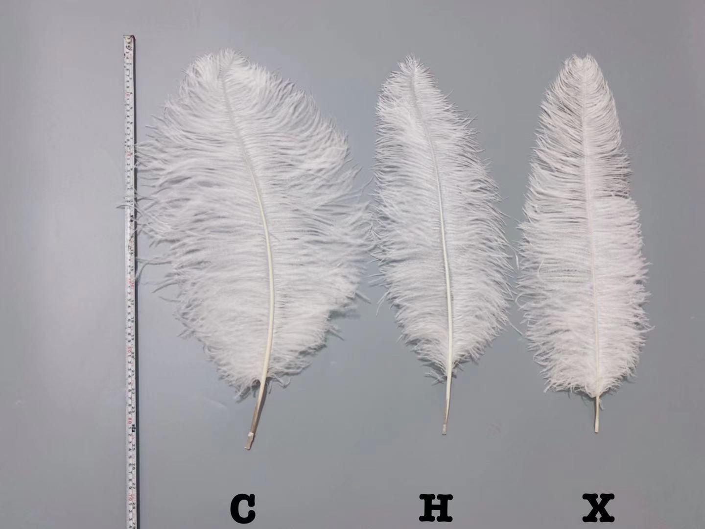 ff15abb2f290b6522c215a6b9668f1