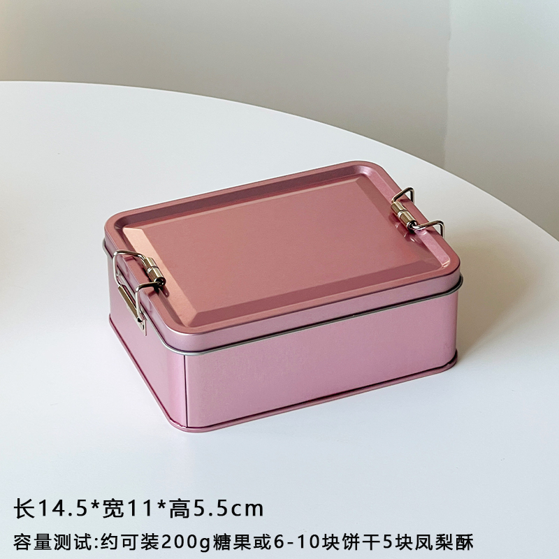 Red famosa nueva caja de Año Nuevo 2025 caja de galletas de hierro hebilla caja de hierro caramelo de estaño sobre