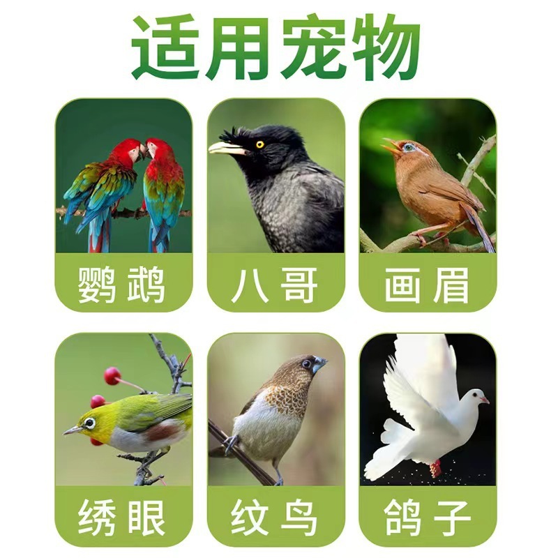 普欣諾のオウムの風邪の鳥の専用はまばらに息を引き取って咳をします。|undefined