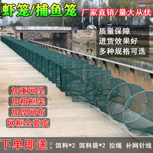 大框专用折叠捕鱼笼虾笼只进不出渔网捕虾网黄鳝笼加厚龙虾网笼子