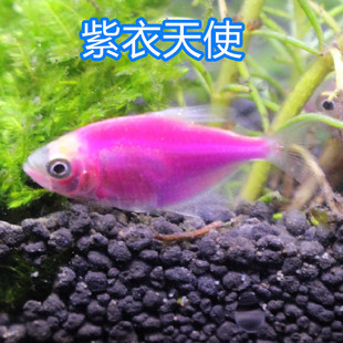 ������ʹ�~��ʹ�~�߲��~���ʙ��ʾG�����~��ȸ���RС�͟Ꭷ�^�p�~