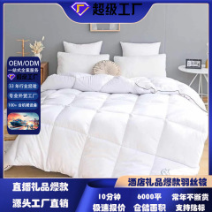 5つ星のホテルの布団の保温冬は2人で芯のメーカーの直接販売の卸売りの代行の贈り物に買ってもらいます。