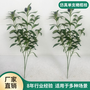 ���控���ϙ��~��֧ͥԺ���^���ͻ�c�ٻ������ϙ�֦�͏d�廨�b�