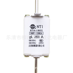 NT1�������մ��۔��� RT16-1 R032�͉��۔���100A 125A 160A 200A