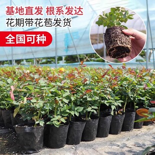 �¼�����õ��С���ļ��_���̨���Ի���ͥԺ���پGֲ����ٱ��Nޱ