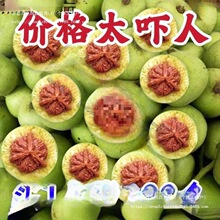���r�{���^�䌦��Ƥ�������ـ�������Ƥ���͹�ñ�Һ˼y��������