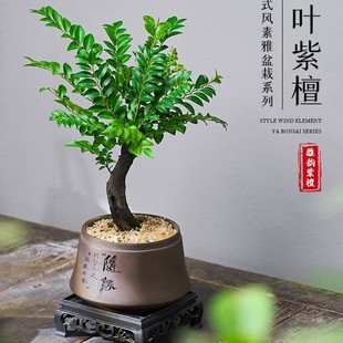 С�~��̴�辰�Ϙ�ֲ���҃Ȳ�׿͏d�k����������ļ����B�Gֲ����