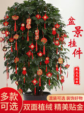 2026�¿�ֲ�qС���\����辰�b����^���҃ȸ��֘��ϑ��≾����