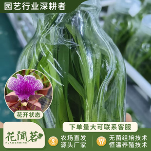 ���������m�����m0841ƿ��M�����״�� �҃������Ի��� ����r��