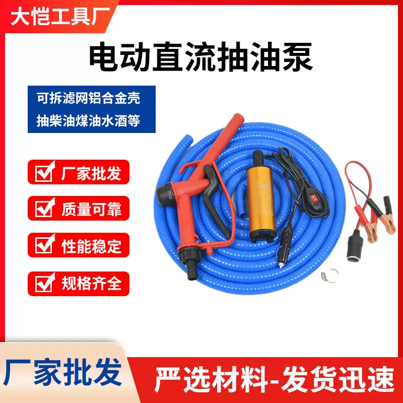 便携式小型12V/24V电动抽油泵抽水泵带220V转换器 自驾车载油抽子