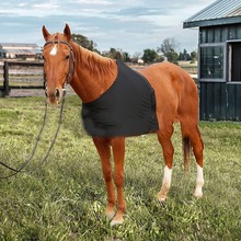 �¿��R�o���o���R�����R��|�ߏ����R���r�Rƥ���m���������o