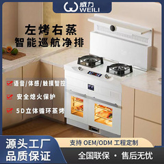 白色集積かまど大容量蒸しオーブン多機能家庭用インバータ一体かまど卸売り