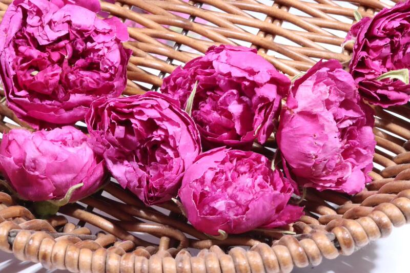 バラのバラの花の花の冠王の低温は乾燥します。|undefined
