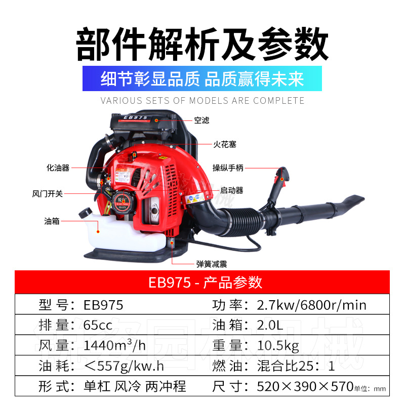 두 번째 정 EB975 백 타입 [시험 보고서 인증] 수입 구성