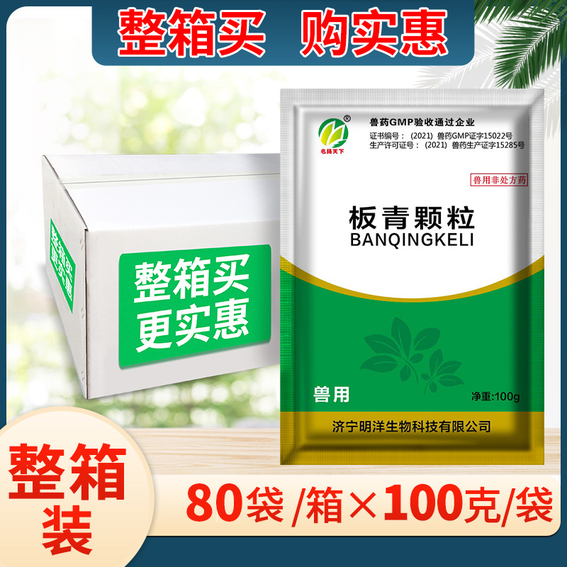 兽用板青颗粒中药禽药兽药鸡药鸭鹅猪用牛羊兔感冒药国标正品批发