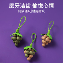 新款猫玩具猫葡萄岁岁香多口味猫薄荷磨牙洁齿自嗨玩耍宠物玩具