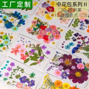 Pressed Flower�M�ϰ� �ɻ��������ϰ� Ѻ���滨diy ����~�˱�
