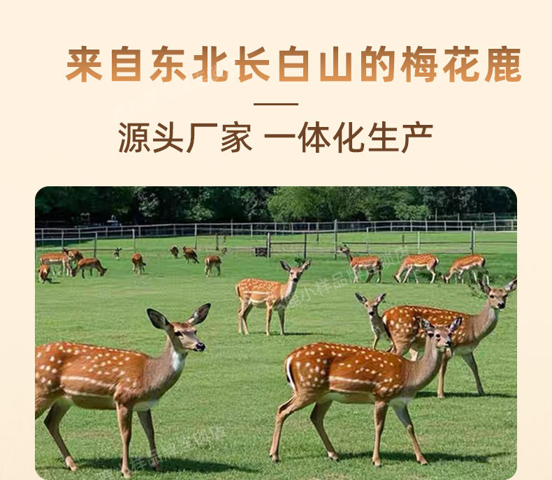 Deer Heart Pill Water Honey Small Pills 30g Jilin Changbai Mountain Specialty Traditional Tonic with Ginseng key features