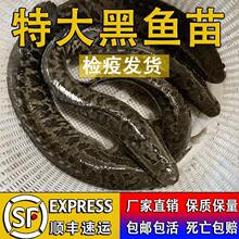 ���~����w��ˮ�ش��~�絭ˮ�Bֳ��С���~��ؔ�~����k������~��