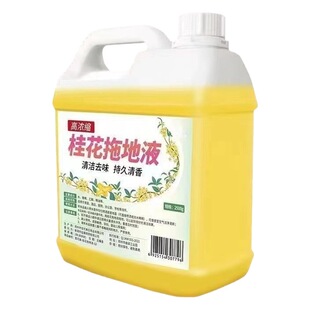 Household long-lasting osmanthus light fragrance mop liquid Hotel Hotel supermarket floor cleaner tile odor removal mop water