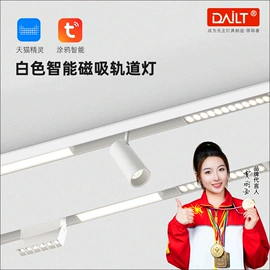 吸顶灯;射灯;风扇灯