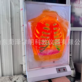 数理教学器材;教学仪器;教学演示用品